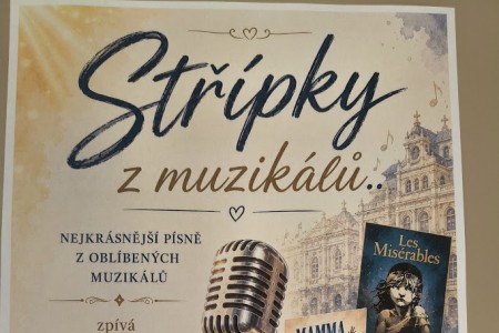 Vystoupení žáka Tomáše Hradílka v domově pro seniory